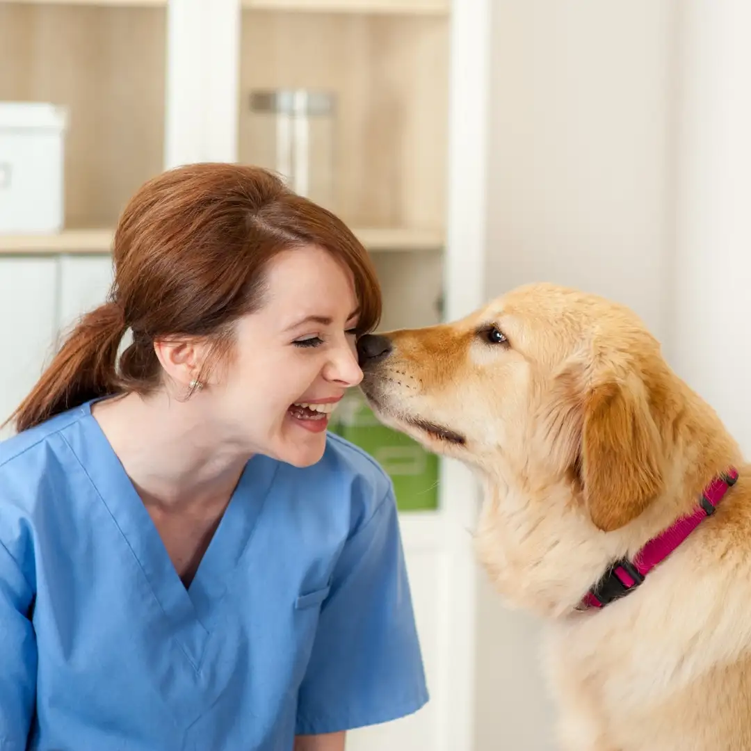 veterinarian dog kiss