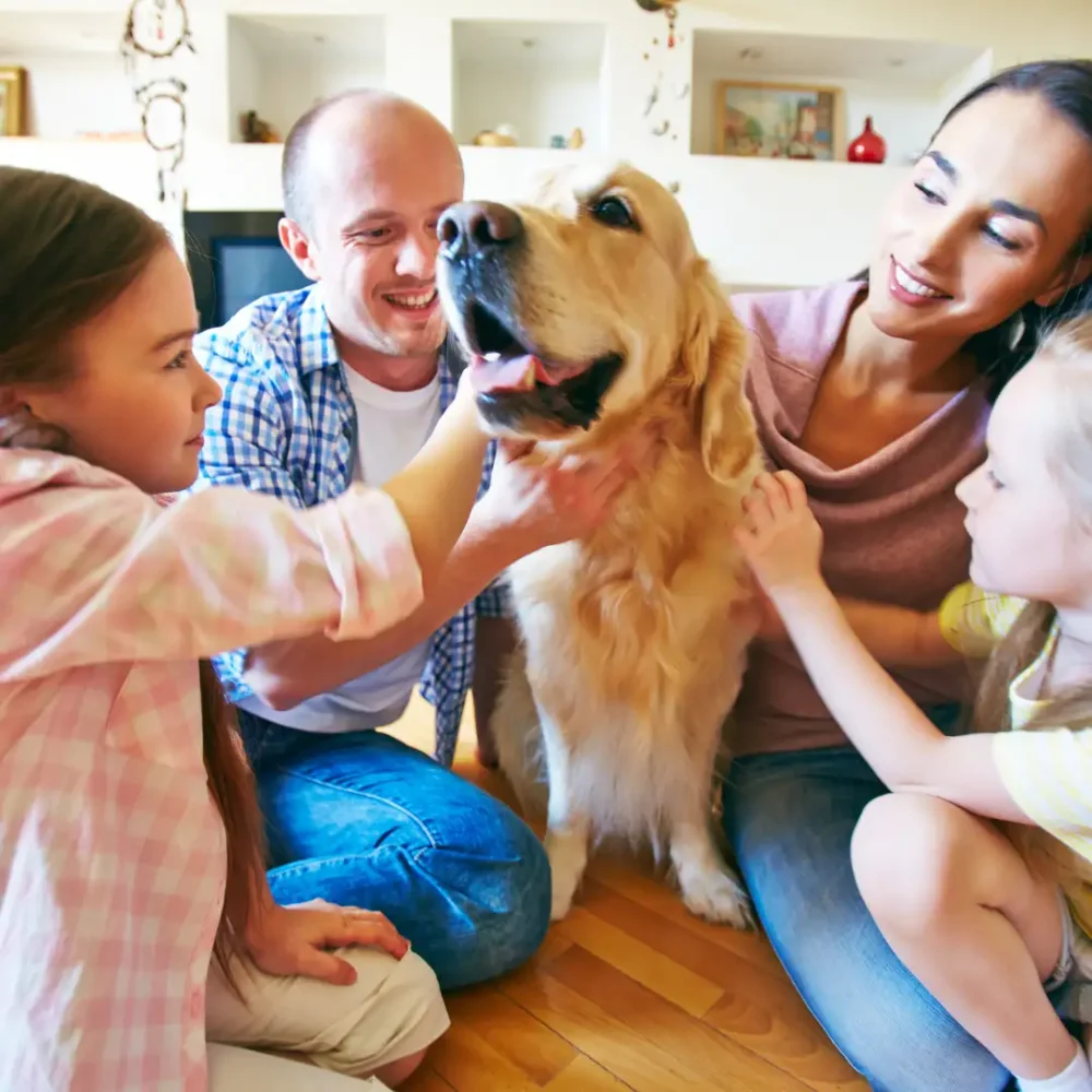 mom, dad, and kids petting their family dog, a golden retriever