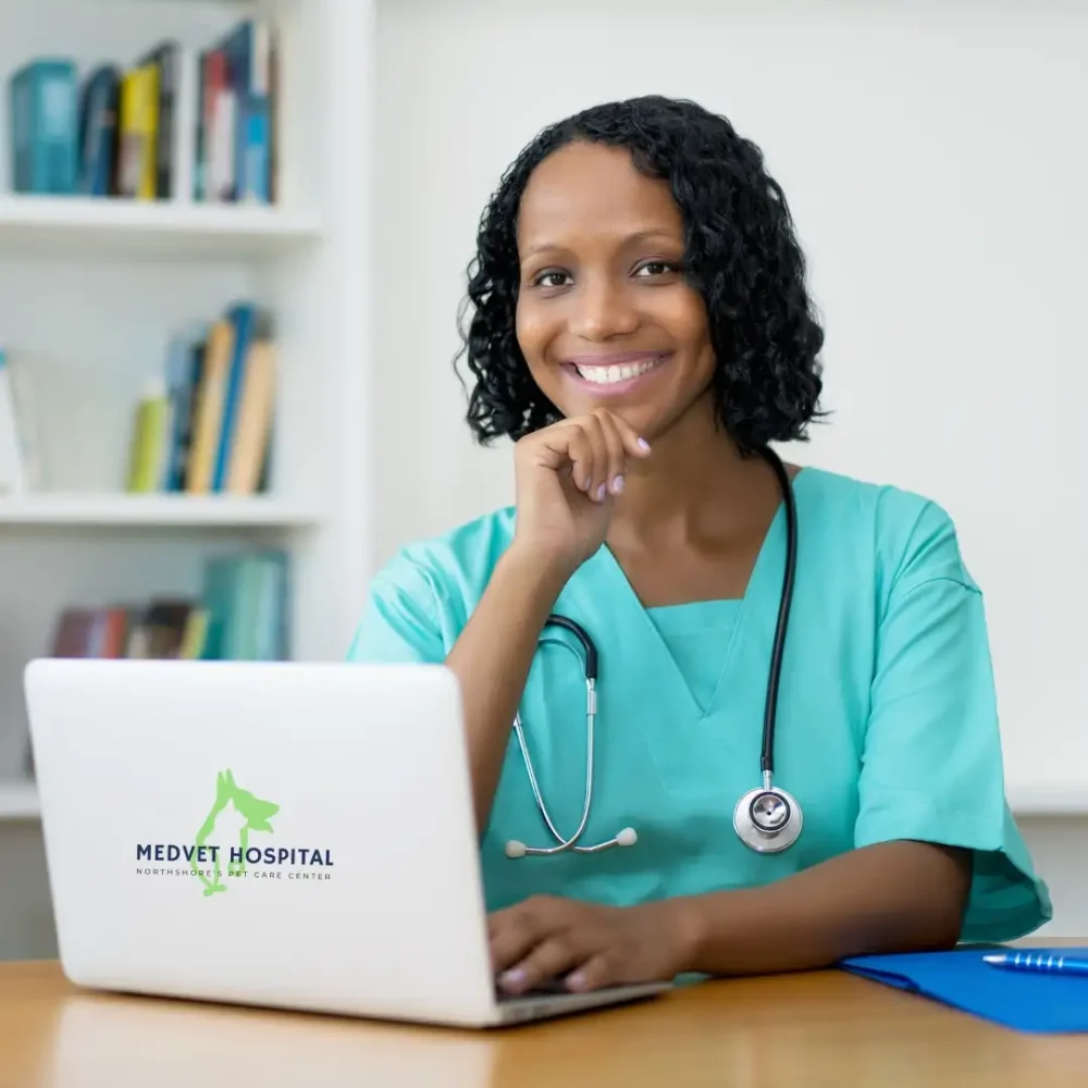 veterinarian laptop