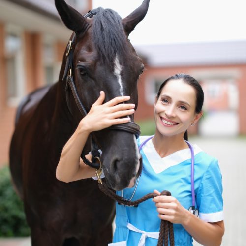veterinarian with a brown horse